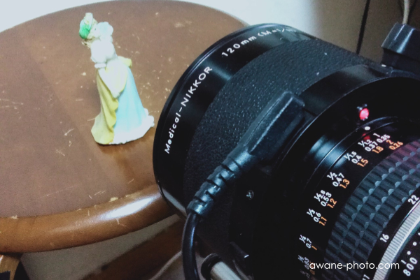 120mmのメディカルニッコールも入手した～撮影日記