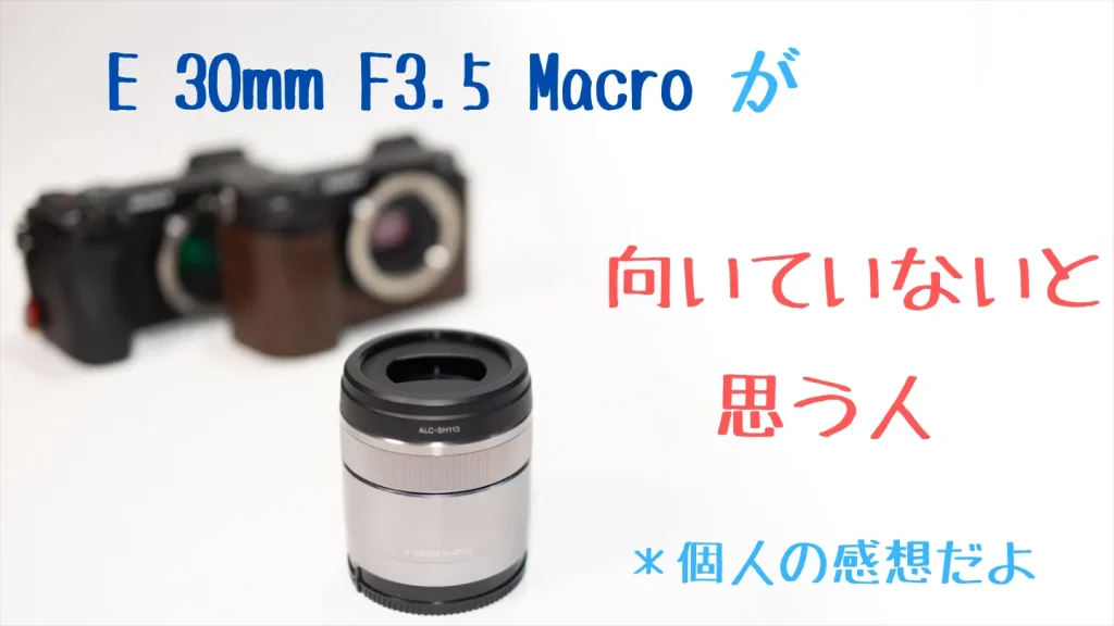 等倍マクロ】Sony E 30mm F3.5 Macro レビュー｜α6400/ZV-E10で
