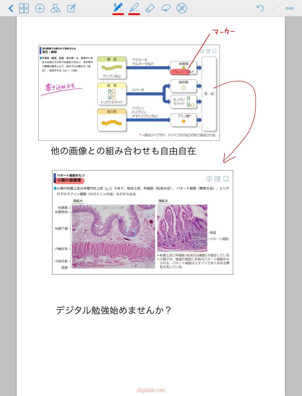 mediLink版(電子版)病気がみえるのレビュー、おすすめな理由 | でじす