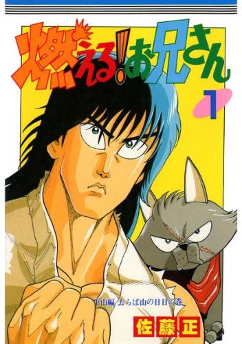 燃える！お兄さん (1-19巻 全巻) | 漫画全巻ドットコム