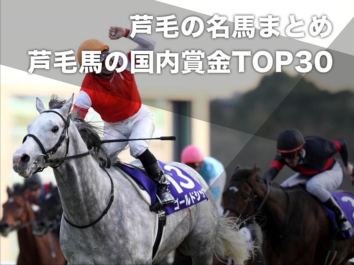 芦毛の名馬】芦毛の競走馬の国内獲得賞金ランキングTOP30 歴代1位は
