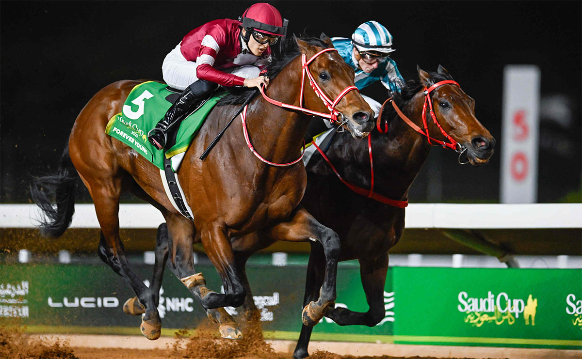 競馬データ】海外遠征で勝利を挙げた日本調教馬(中央所属)まとめ