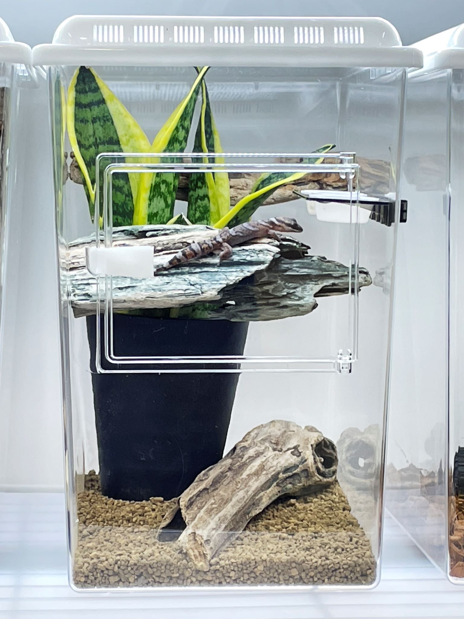 レプティギア ハイ 3個セット レプティギア・ハイ 300 | 株式会社