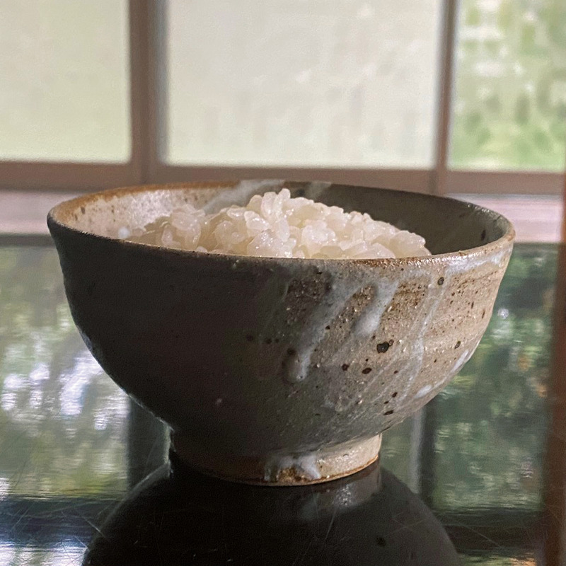 食事がより楽しくなる《ごはん茶碗》18選うつわ作家＆料理家の愛用品