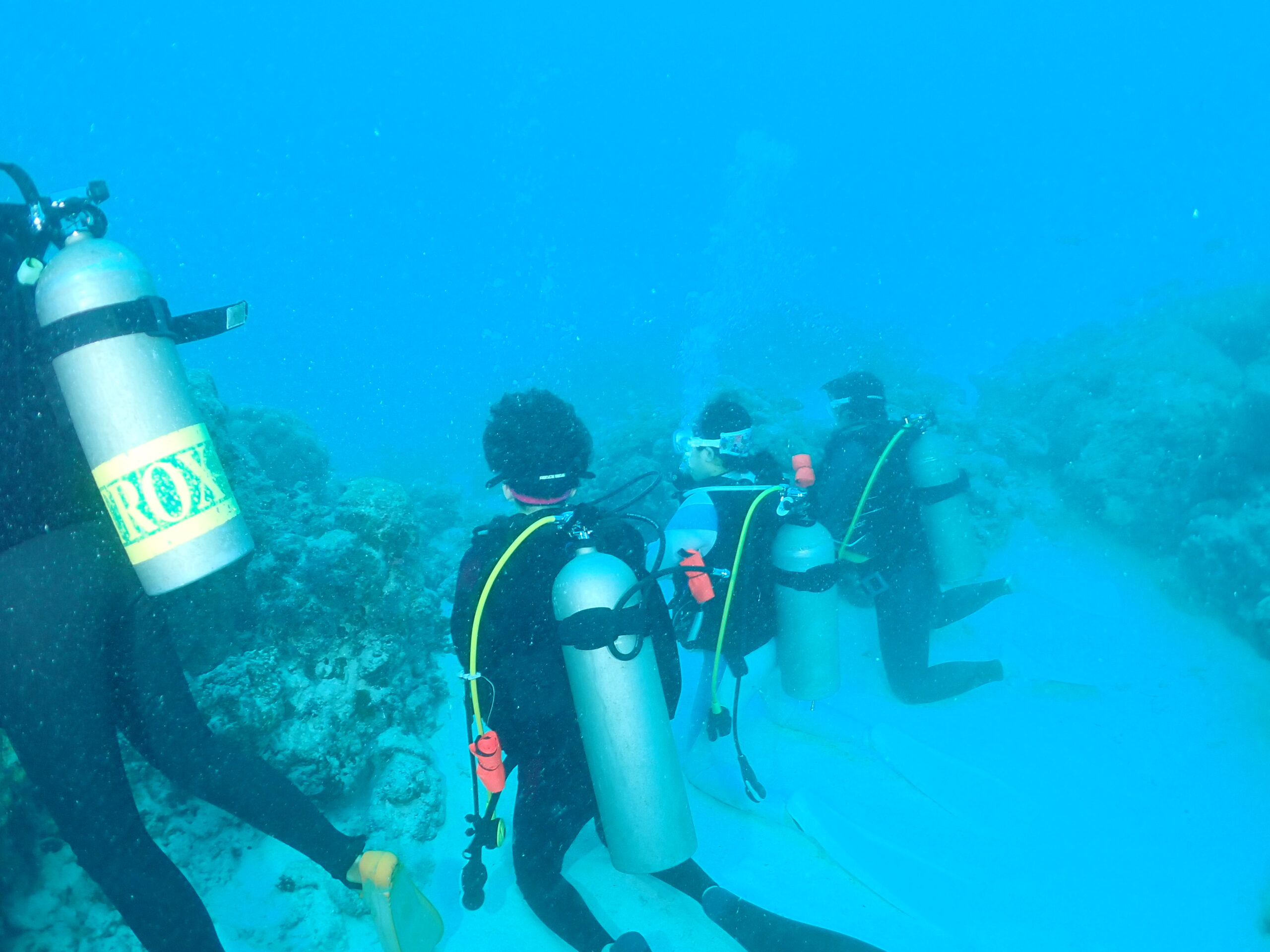 パラオ海編Part2 - NAO | スキューバダイビングのライセンス資格取得