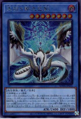 WORLD PREMIERE PACK 2025 商品検索 | ドラゴンスター | 遊戯王