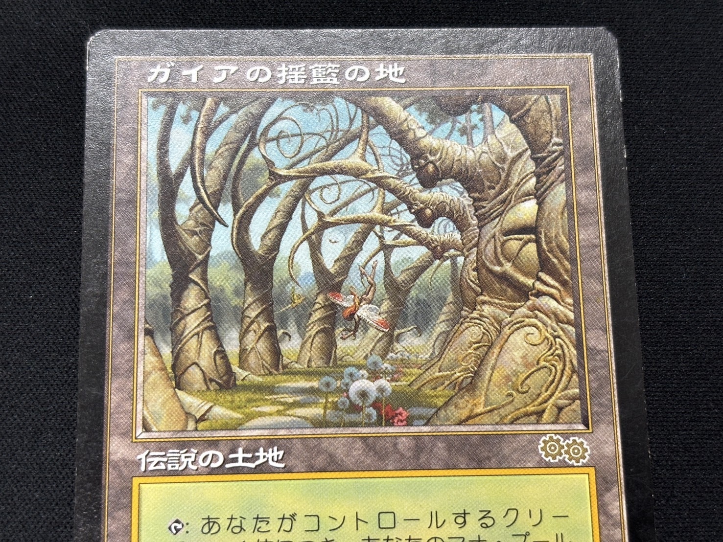 MTG ガイアの揺籃の地 Gaeas Cradle USG 英語版 OC0000000000 MAGIC