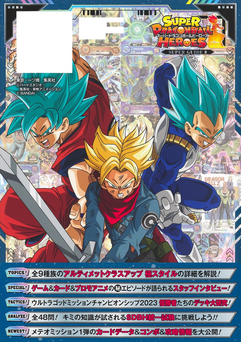 スーパードラゴンボールヒーローズ 13th ANNIVERSARY SUPER GUIDE／V