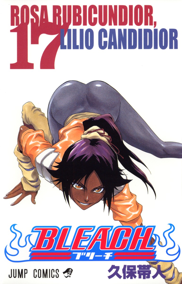 BLEACH―ブリーチ― 17／久保 帯人 | 集英社 ― SHUEISHA ―