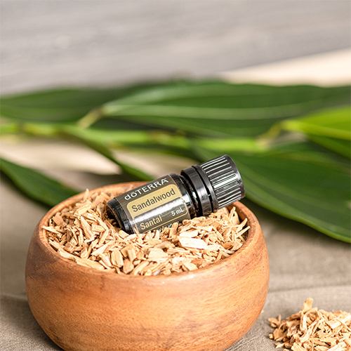 Sandalwood Oil NHP Uses and Benefits | doTERRA Essential Oils