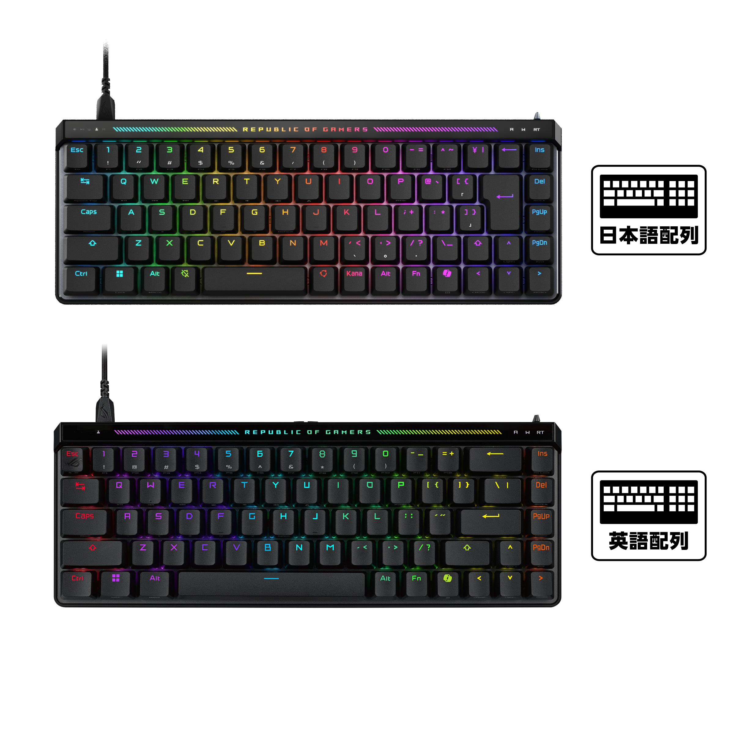 ROG Falchion Ace HFX Gaming Keyboard | Compact | Gaming キーボード