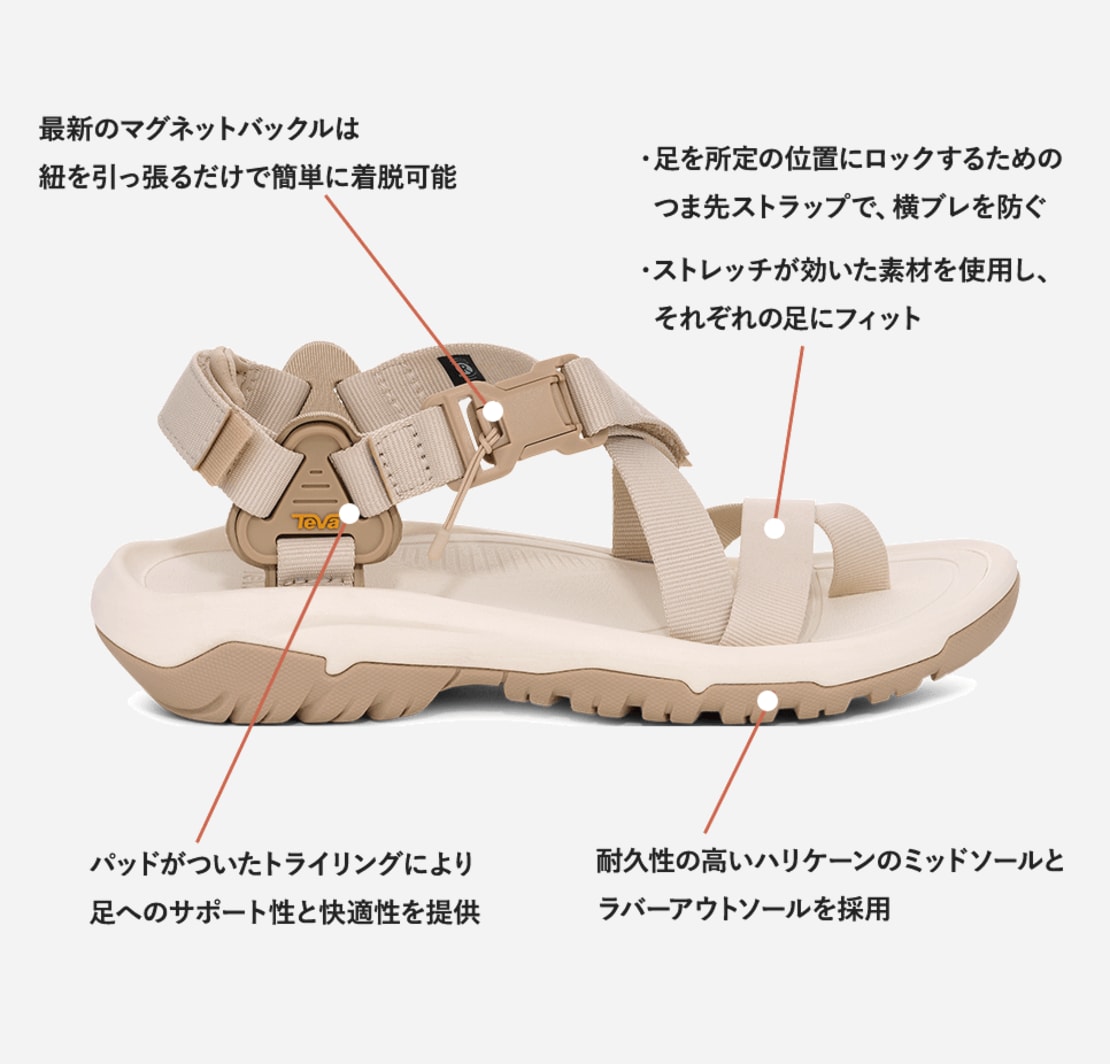 テバ公式【 ハリケーン テラ ダクトル|HURRICANE TERRA DACTYL