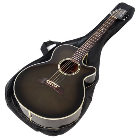 dショッピング |【中古】アコースティックギター TAKAMINE タカミネ PT