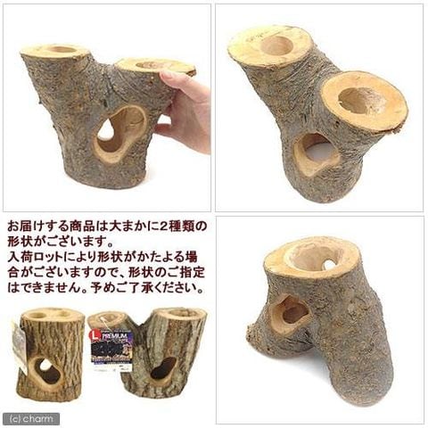 dショッピング |フジコン プレミアム インセクトシェルター L 昆虫