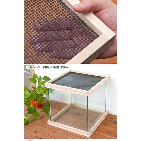 dショッピング |30cmキューブ用（幅30cm×奥行き30cm