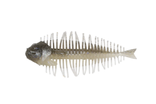 株式会社DSTYLE 公式サイト