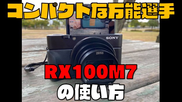 Cyber-shot DSC SONY RX100 取説付き 本カメラの取扱説明書が欲しい