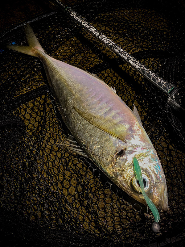 沖の海中を可視化するロッド。フロート特化モデル～ドリームコンスリー