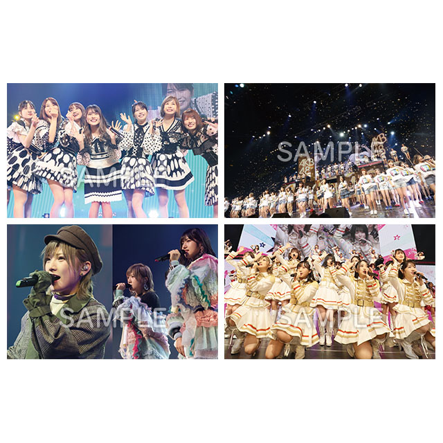 AKB48単独コンサート～15年目の挑戦者～