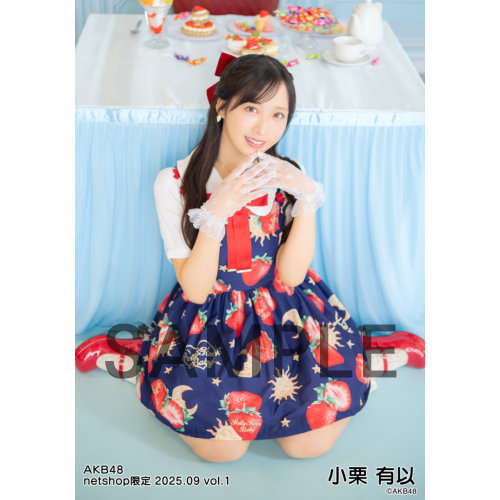 予約商品】AKB48 2025年9月度 net shop限定個別生写真5枚セットvol.1