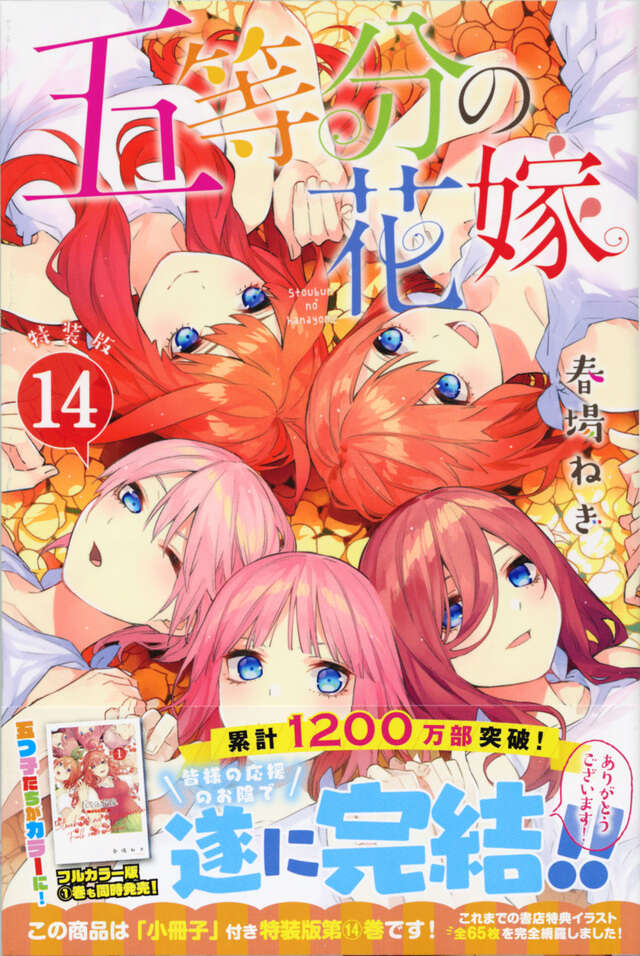 五等分の花嫁（14）特装版』（春場 ねぎ）｜講談社