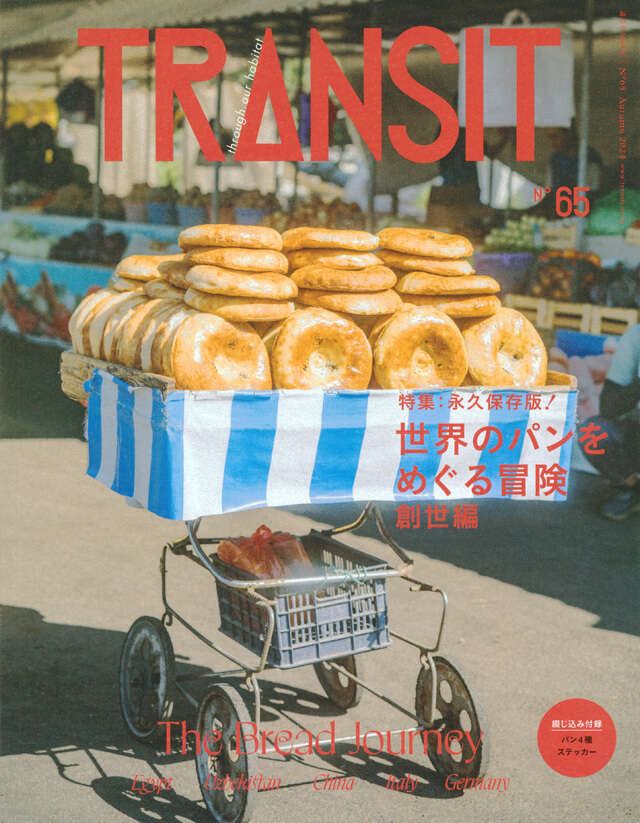 TRANSIT（トランジット）37号アイスランド 地球の神秘を探し