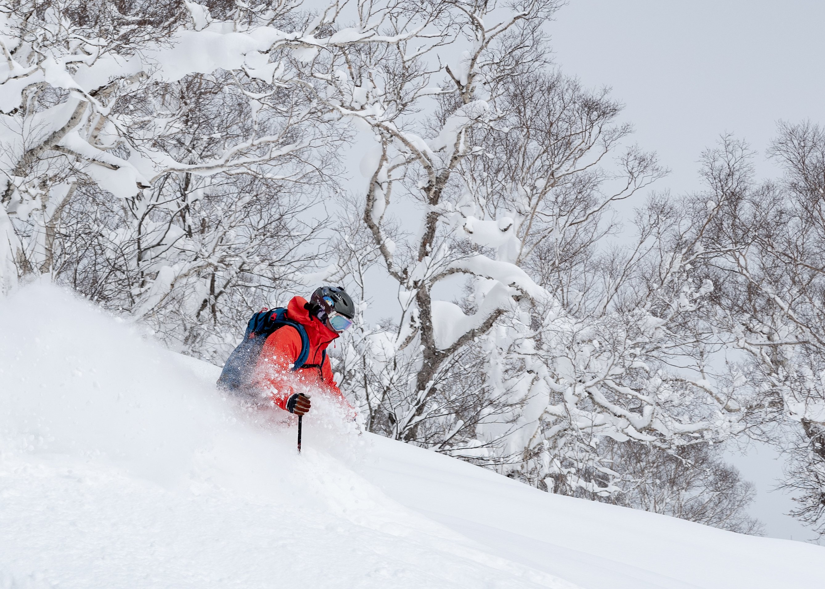 cat-day.jpg?w=1200&h=-1&s=1