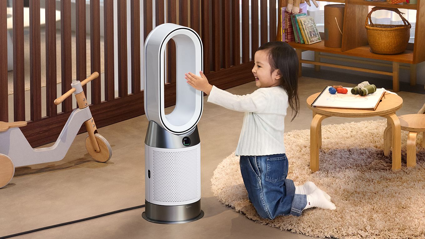 ◯ダイソン hot＋cool セラミックファンヒーターAM09 2024年 dyson