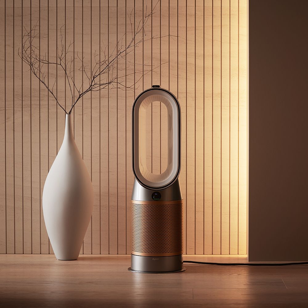 2020年製 Dyson ダイソン Hot Cool AM09 Dyson Hot+cool AM09 2020年製