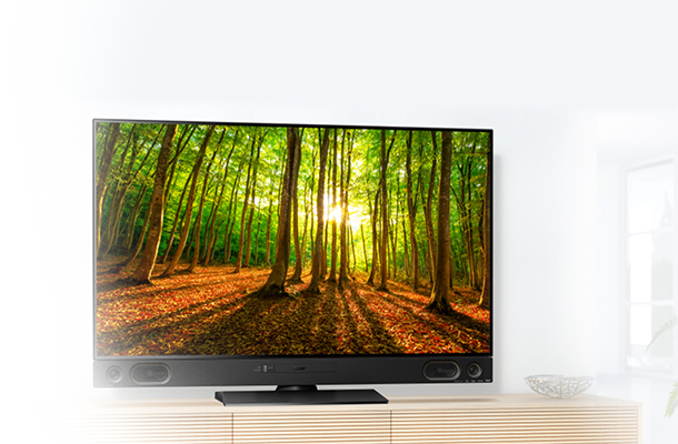 三菱電機 【REAL】LCD-A58RA1000 58V型 4K液晶テレビ 三菱電機 リアル