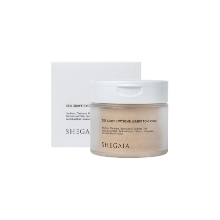 SHEGAIA] Hyaluronic Water Shine Procedure Cream | Anna's DAZZ