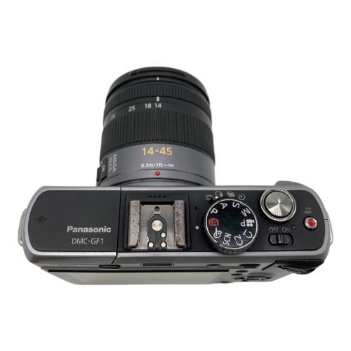 Panasonic (パナソニック) LUMIX GF1 LUMIX G LENS KIT DMC-GF1