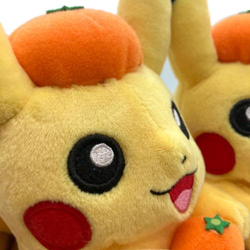 Pokemon Center (ポケモンセンター) ヌイグルミ タグ有 ペアピカチュウ