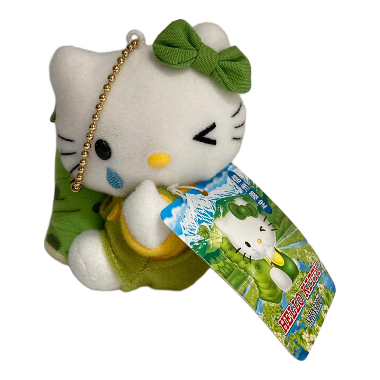 美品 ご当地キティ ぬいぐるみ 福井限定 恐竜バージョン タグ付き ご