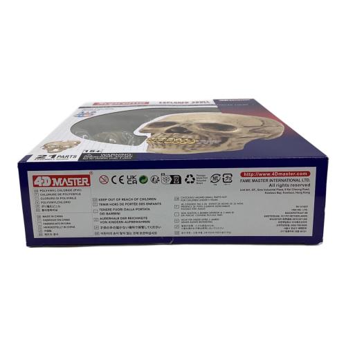 Supreme(シュプリーム) 4D Model Human Skull（4D モデル ヒューマン