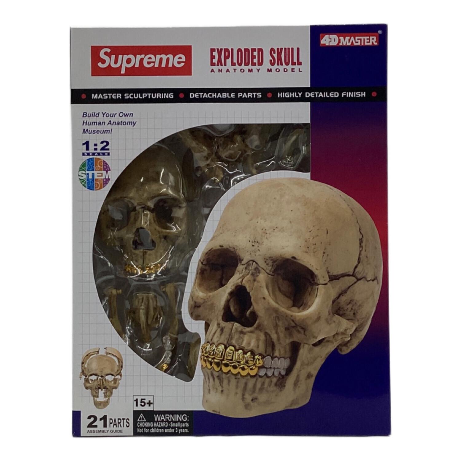 Supreme(シュプリーム) 4D Model Human Skull（4D モデル ヒューマン