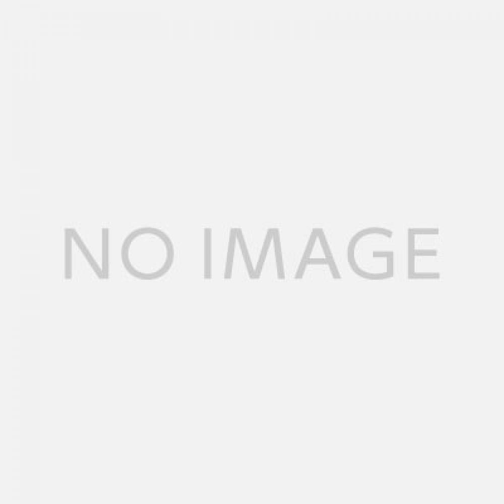 絵画 my garden flowers バラ 橋本不二子｜トレファクONLINE