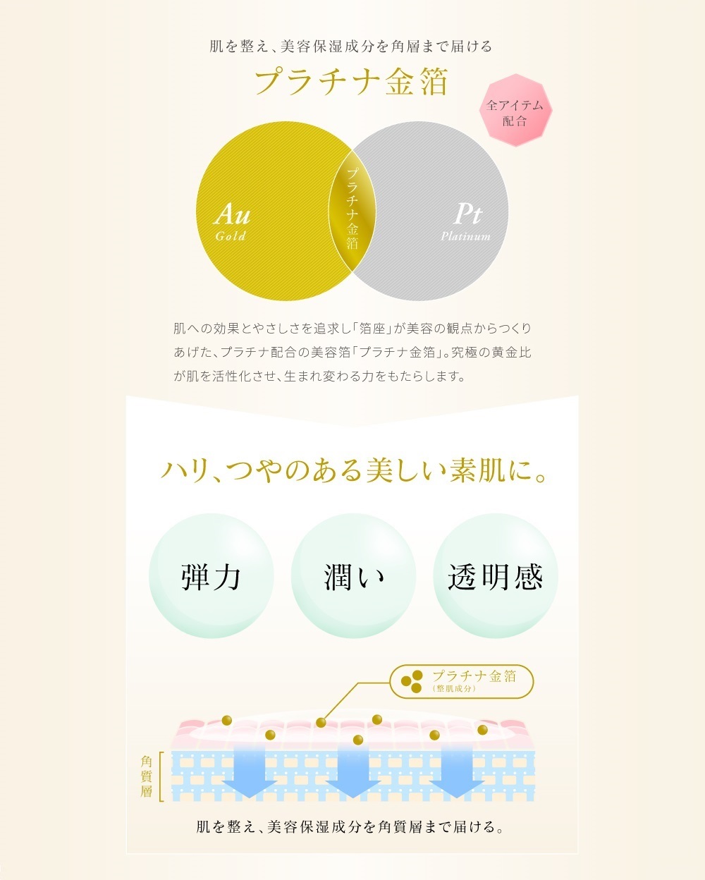 モイスチャークリーム（保湿クリーム） | 箔座オンラインショップ