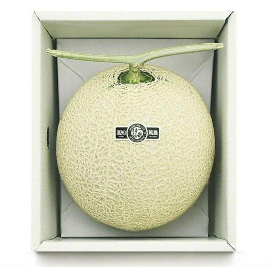 1.6kg以上 マスクメロン1玉箱入り《良品》【一果相伝】「株式会社篤農