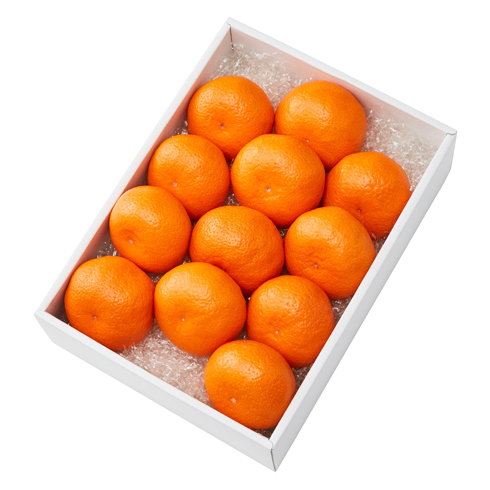 新宿高野 丹生系／葵クラブみかん12入 #29100: 新宿高野｜JAL Mall