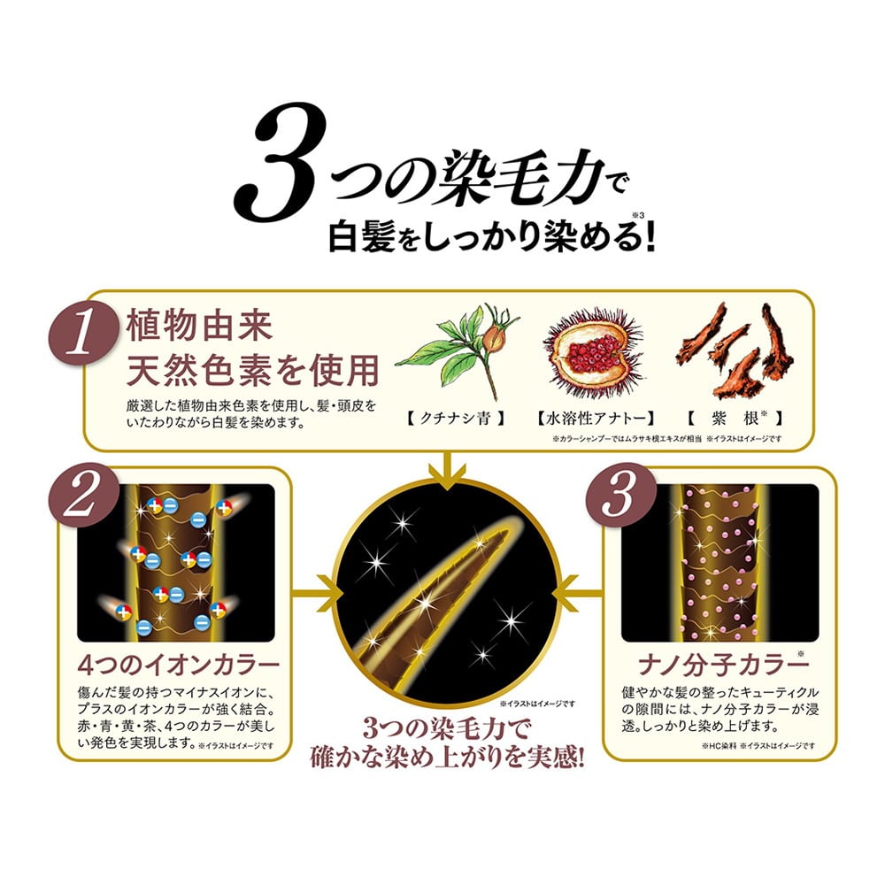 ピュール 利尻カラーシャンプー ダークブラウン: サンドラッグ｜JAL