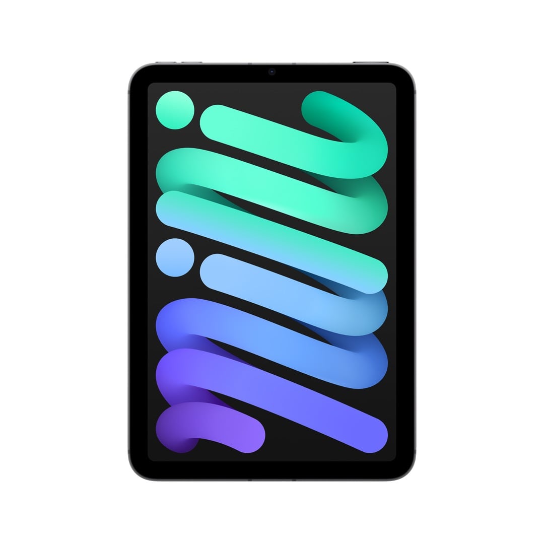 iPad mini Wi-Fi + Cellularモデル 256GB - スペースグレイ: Apple