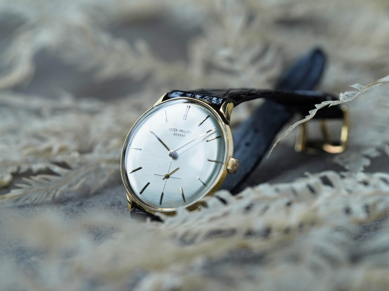 パテックフィリップ/カラトラバ/エナメル象嵌/シルバーダイヤル