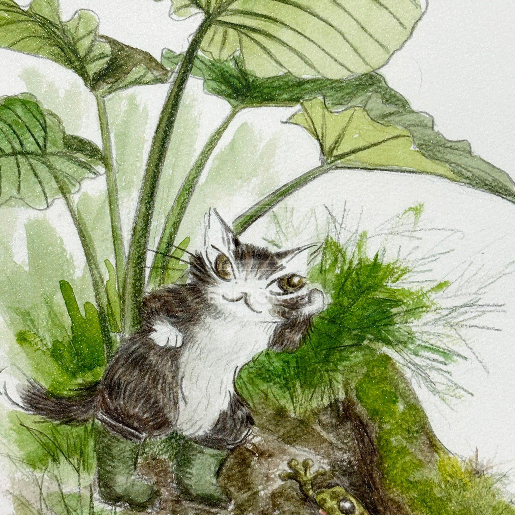 猫のダヤン 88グラフ「ヤンバルのカエル」/池田あきこ（直筆サイン入り