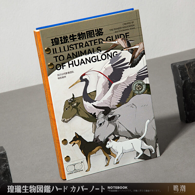 鳴潮」正式リリース限定記念BOX｜アニメ・キャラクターコラボグッズの