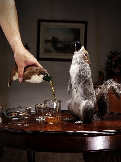 ビール・発泡酒 brewdog TACTICAL NUCLEAR PENGUIN The World's