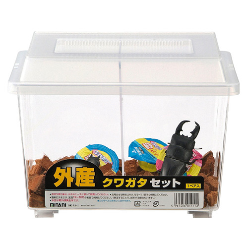 外産クワガタセット(1ペア) - 株式会社ミタニ