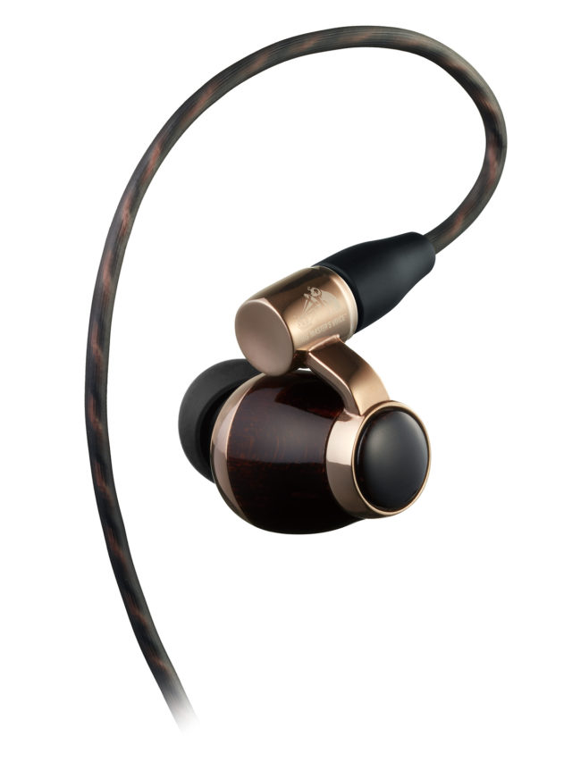 WOOD』シリーズのフラグシップ Victor HA-FW10000 解禁！ - イヤホン