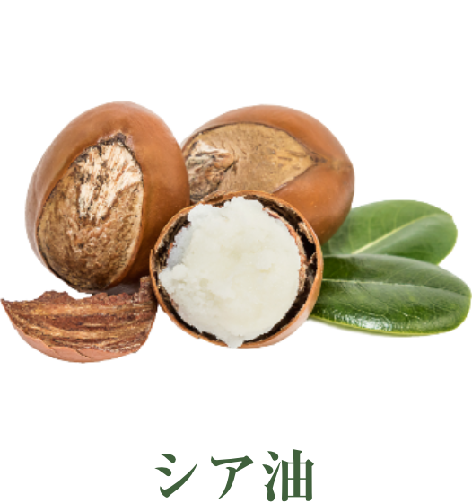 Koo プレミアム シュール | イーズストアエステサロン生まれのシンプル