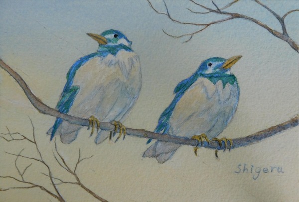 青い鳥」 by 林 繁｜Artmeter｜暮らしを彩るアートが、きっと見つかる